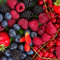 8 Colorful Berries to Boost Your Antioxidant Intake